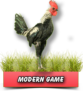 Modern Game